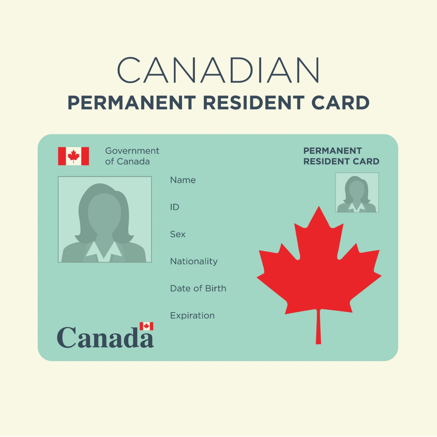 How Permanent Resident Card Applications Work In Canada My Visa Source